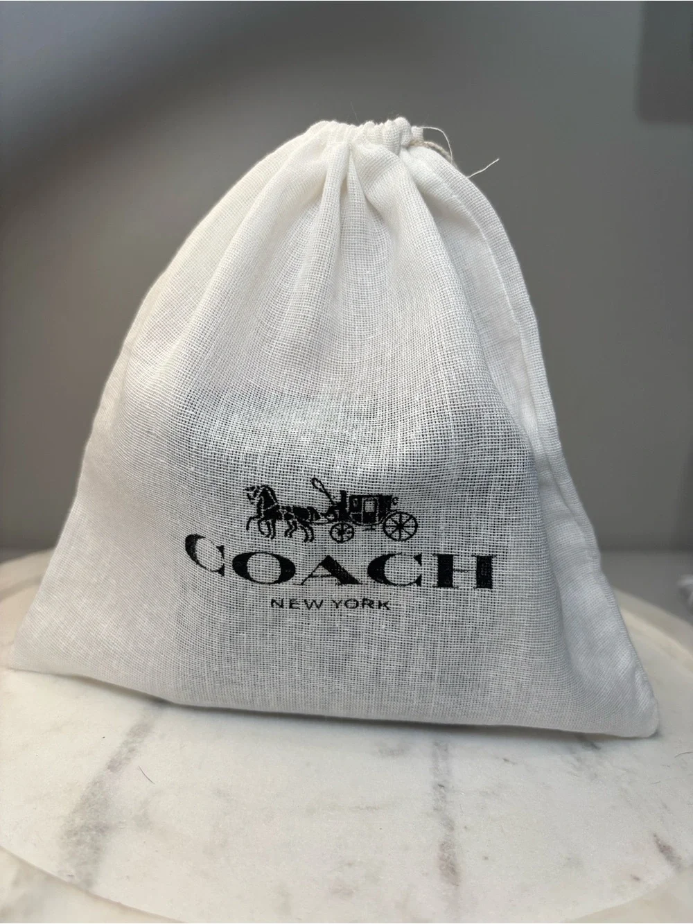 Coach Rose Gold Bow, Pearl & Crystal Stud Earring Set NWT w/ Coach Dusty - Picture 4 of 4
